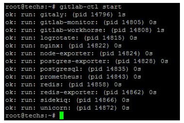 Start Gitlab service