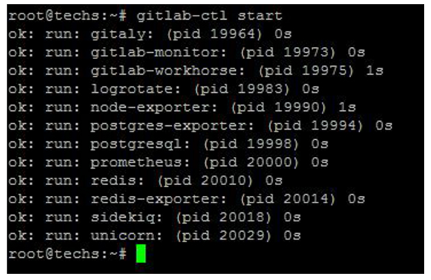 Start Gitlab service