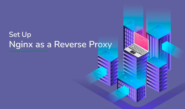 Set Up Nginx As A Reverse Proxy Server Management Support