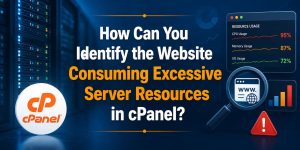 cPanel server resource monitoring dashboard showing CPU, memory, and I/O usage analysis to identify websites consuming excessive server resources.